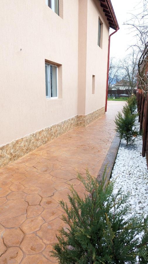Casa Beatrice Villa Calimanesti Exterior photo